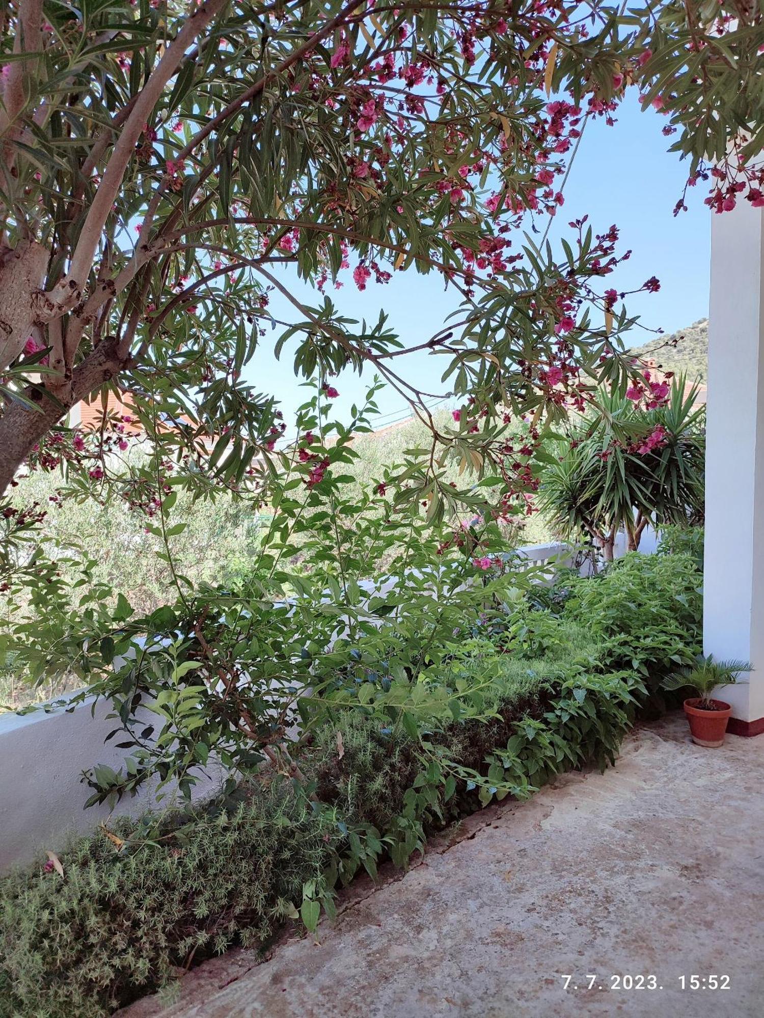 Apartment Slaven Vinišće 外观 照片